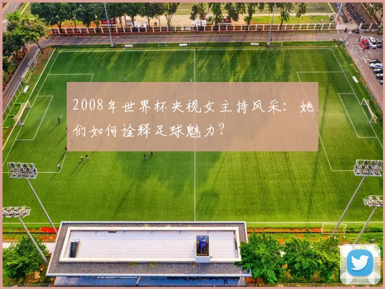 2008年世界杯央视女主持风采：她们如何诠释足球魅力？