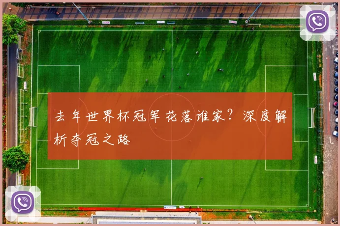 去年世界杯冠军花落谁家?深度解析夺冠之路