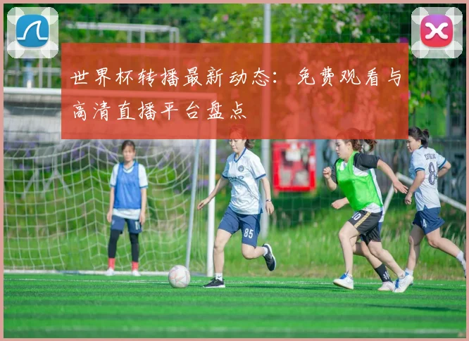 世界杯转播最新动态：免费观看与高清直播平台盘点