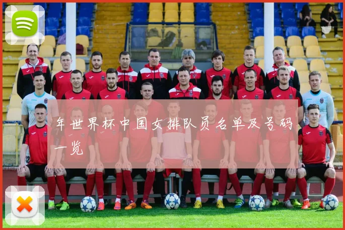 年世界杯中国女排队员名单及号码一览