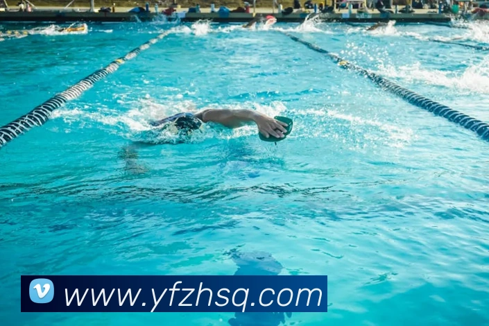 易倍emc官网网页版平台生态图