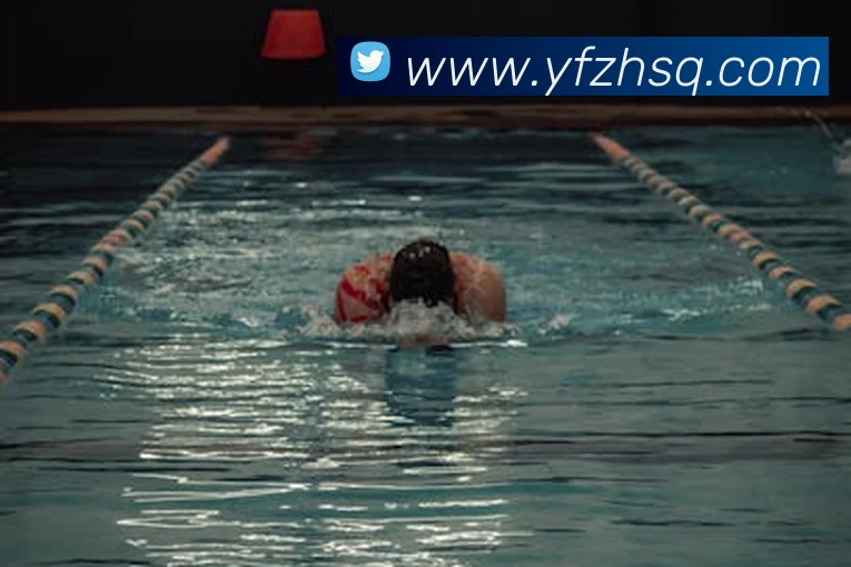 易倍emc官网网页版APP 封面图